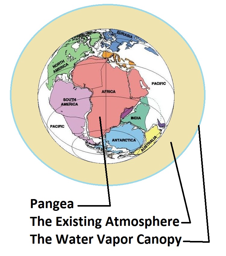https://www.genesispark.com/wp-content/uploads/2011/10/Pangea-Canopy-Picture.jpg